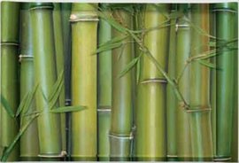 BMO0301 Tc melamin 40x27 Bambus