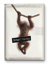 Kapesnky Smart - Monkey