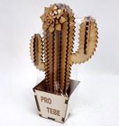 Kaktus dřevěná dekorace úzký 1 květ - PRO TEBE