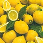Ubrousek 33x33cm - fresh lemons