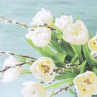 Ubrousky papírové s dekorem 33x33cm - White tulips