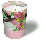 Svíčka ve skle Glaskerze 8,5 x 10cm - Blossom greetings