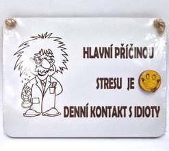 Devn destika mini 13x10cm bl na zaven - Einstein - Hlavn piinou