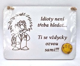 Devn destika mini 13x10cm bl na zaven - Einstein - Idioty nen teba