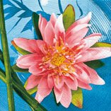 Ubrousek 33x33cm - Wellness