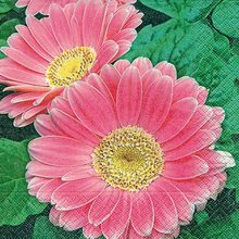 Ubrousek paprov s potiskem 33x33cm - Gerbera daisy