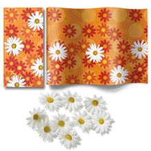 Comfortable Box - Daisies all over