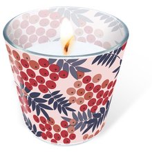 Svka ve skle Glaskerze 7cm - Rowan berries