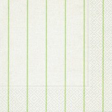 Ubrousek papírový s potiskem 33x33cm - Home white/green