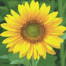 Ubrousek paprov s potiskem 33x33cm - Sunflower