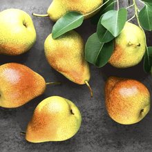 Ubrousky paprov s potiskem 33x33cm - Fresh pears