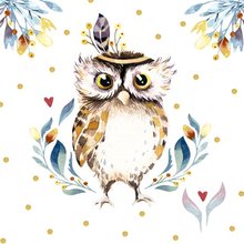 Ubrousky paprov s potiskem 33x33cm, sada 20ks - Flower Owl