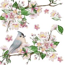 Ubrousky paprov s potiskem 33x33cm, sada 20ks - Bird Lyrics