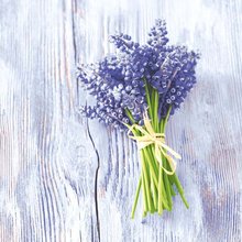 Ubrousky paprov s potiskem 33x33cm, sada 20ks - Muscari bundle