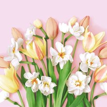 Ubrousky paprov s potiskem 33x33cm, sada 20ks - Tulip joy