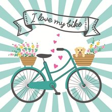 Ubrousky paprov s potiskem 33x33cm, sada 20ks - Bike Love