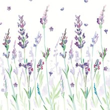 Ubrousky paprov s potiskem 33x33cm, sada 20ks - Lavendream