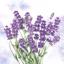 Ubrousky paprov s potiskem 33x33cm, sada 20ks - Lavender oasis