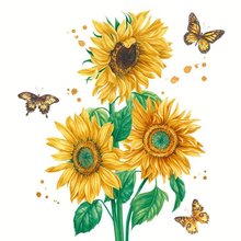 Ubrousky paprov s potiskem 33x33cm, sada 20ks - Sunshine bloom