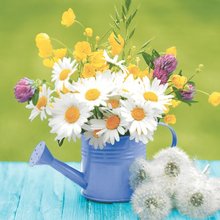 Ubrousky paprov s potiskem 33x33cm, sada 20ks - Garden beauty