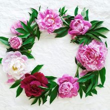 Ubrousky paprov s potiskem 33x33cm, sada 20ks - Blossom wreath