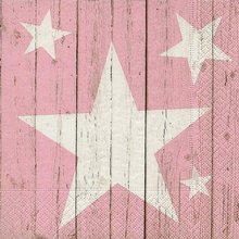 Ubrousek paprov s potiskem 33x33cm - Star on planks ros