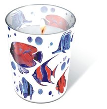 Svka ve skle Glaskerze 8,5 x 10cm - Tropical fish