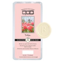 Vonn tavn vosk do aromalampy BW 73g - Tulips