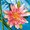 Ubrousek 33x33cm - Wellness