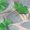 Ubrousek paprov s potiskem 33x33cm - Ginkgo biloba
