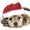 Ubrousky paprov s potiskem 33x33cm - Santa dog