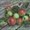 Ubrousek paprov s potiskem 33x33cm - From the apple tree