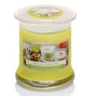 Svka s vn 260g ve sklenn dze s vkem - Green Tea Matcha