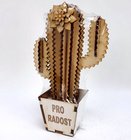 Kaktus devn dekorace zk 1 kvt - PRO RADOST