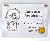 Devn destika mini 13x10cm bl na zaven - Einstein - Idioty nen teba