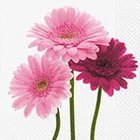 Ubrousek paprov s potiskem 33x33cm - Beautiful gerberas