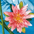 Ubrousek 33x33cm - Wellness