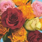 Ubrousek 33x33cm - World of roses