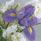 Ubrousek 33x33cm - Bright Iris