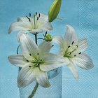 Ubrousek 33x33cm - Three lilies