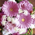 Ubrousky paprov s dekorem 33x33cm - Pink Gerbera