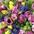 Ubrousky paprov s dekorem 33x33cm - Spring Florals