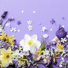 Ubrousky paprov s dekorem 33x33cm - Soft spring lilacs