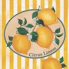 Ubrousek paprov s potiskem 33x33cm - Citrus Limon