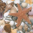 Ubrousek paprov s potiskem 33x33cm - From the seabed
