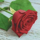 Ubrousek paprov s potiskem 33x33cm - Lovely rose