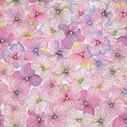 Ubrousky paprov s dekorem 33x33cm - Small blossoms