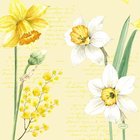Ubrousky paprov s dekorem 33x33cm - Spring Daffodil