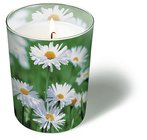 Svíčka ve skle Glaskerze 8,5 x 10cm - Full of daisies