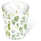 Svka ve skle Glaskerze 8,5 x 10cm - Fresh leaves